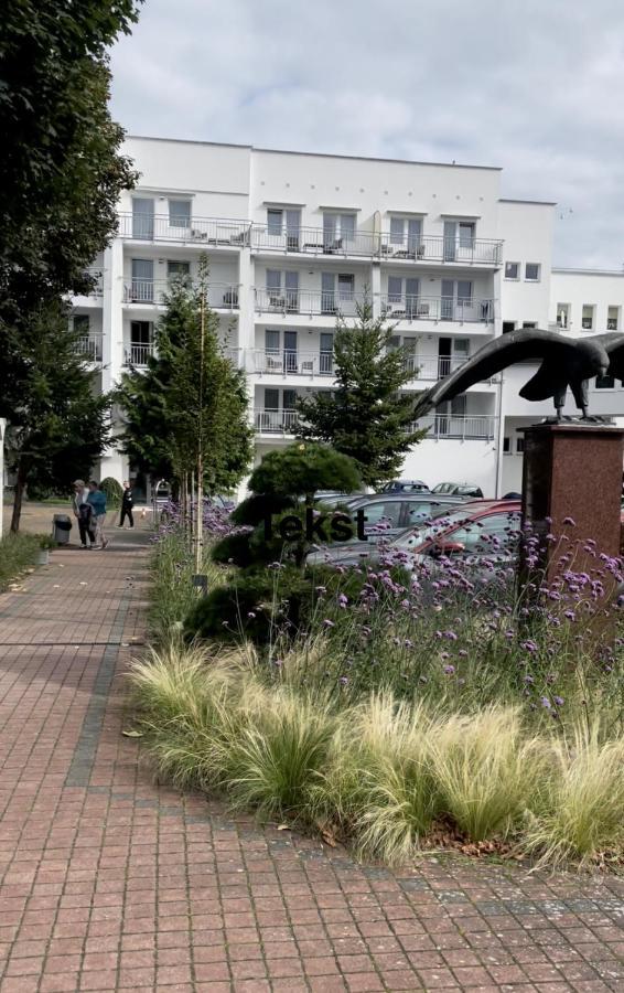 Apartament Bielik ミエンジズドロイェ エクステリア 写真